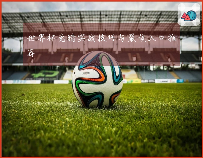 世界杯竞猜实战技巧与最佳入口推荐