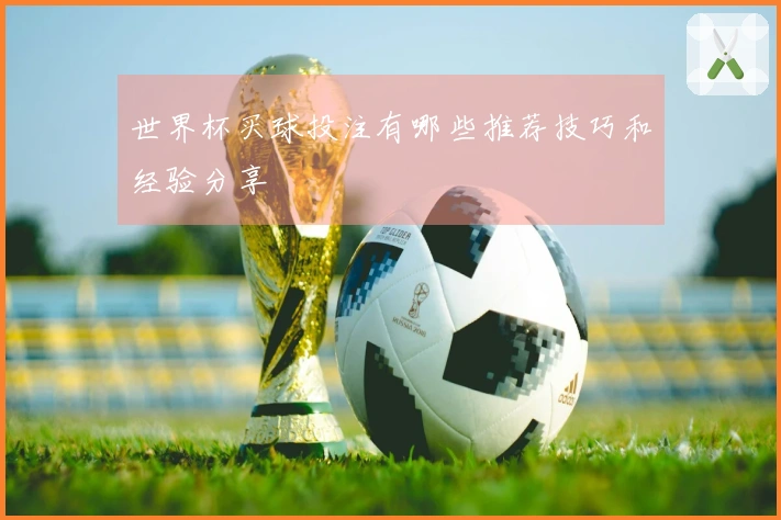 世界杯买球投注有哪些推荐技巧和经验分享