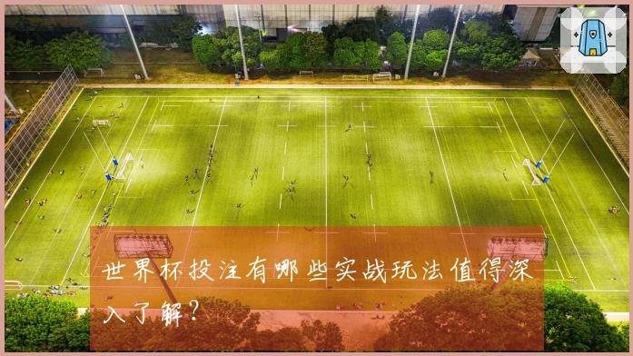 世界杯投注有哪些实战玩法值得深入了解？