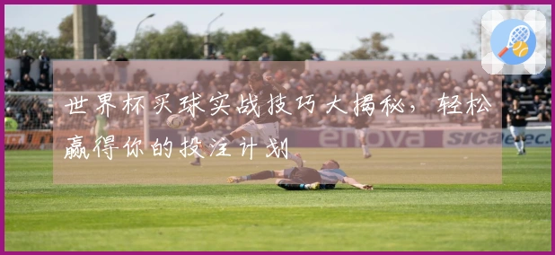 世界杯买球实战技巧大揭秘，轻松赢得你的投注计划